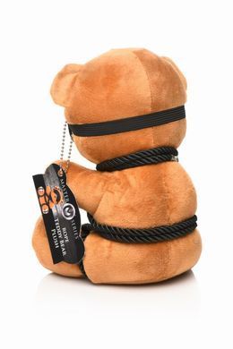 Плюшевий ведмедик ROPE Teddy Bear БДСМ у шкіряній масці та обв&rsquo;язці, 22x16x12 см SO9816 фото