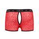 046 SHORT PARKER red L/XL - Passion SO7609 фото 6