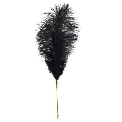 Лоскітка LOCKINK SEVANDA Natural Peacock Flirting Feather Tickler, пір&rsquo;я павича та страуса SX0895 фото