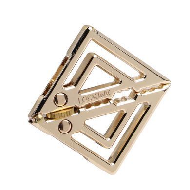 Затискачі для сосків з важкою підвіскою LOCKINK Adjustable Nipple Clamps with Heavy Pendant, під золото SX0846 фото