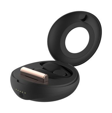 Вібратор для пар Rosy Gold - Remote Control Couple Vibrator SX3921 фото