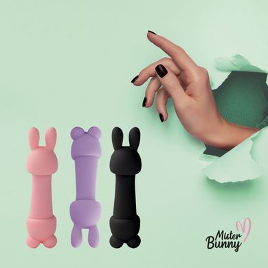 Міні-вібратор FeelzToys Mister Bunny Pink з двома насадками SO4437 фото