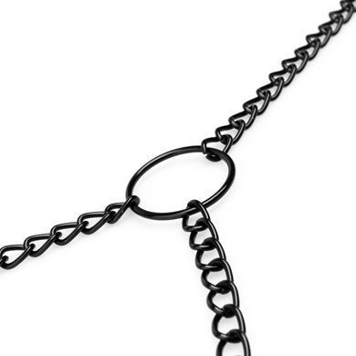 Затискачі для сосків та клітора Bedroom Fantasies: Nipple & Clitoral Clamps, чорні SO8818 фото
