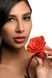 SO8801 фото 8