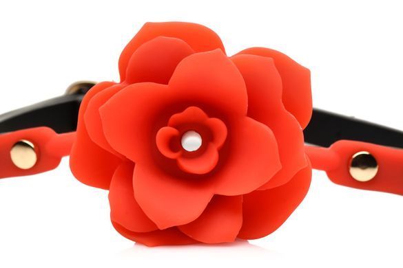 SO8801 фото