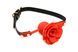 SO8801 фото 1